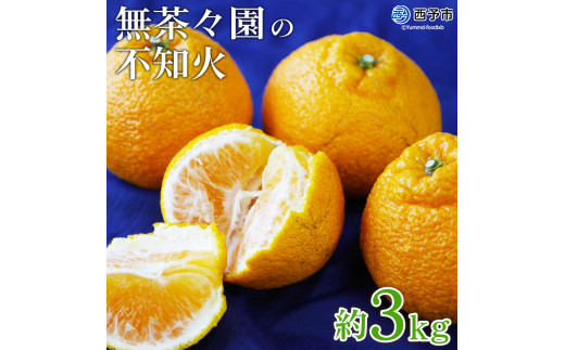 ＜無茶々園の不知火 約3kg＞ フルーツ 果物 くだもの デコポン しらぬい しらぬひ 柑橘 みかん ミカン 蜜柑 オレンジ 柑橘 甘い 旬 期間限定 季節限定 特産品 愛媛県 西予市【常温】