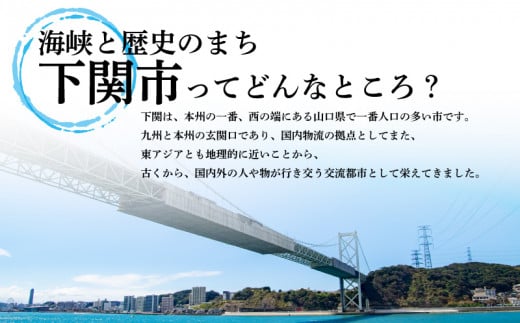 初級 スキューバダイビング ライセンス取得コース Cカード チケット マリンスポーツ 海 下関 山口