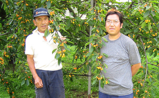 《農家直送》 さくらんぼ 「紅秀峰」 バラ詰め 約200g×2パック 【四戸農園】 フルーツ王国 フルーツ 旬 果物 さくらんぼ サクランボ チェリー 青森県 南部町 三戸 南部 小分け 400g F21U-311