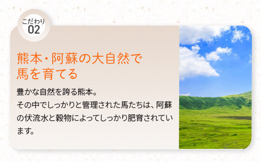 【3回定期便】国産馬刺し赤身 合計約400g ×3