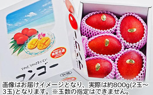 ＜2025年発送＞<優品>完熟アップルマンゴー約800g(化粧箱)2玉～3玉【1390897】