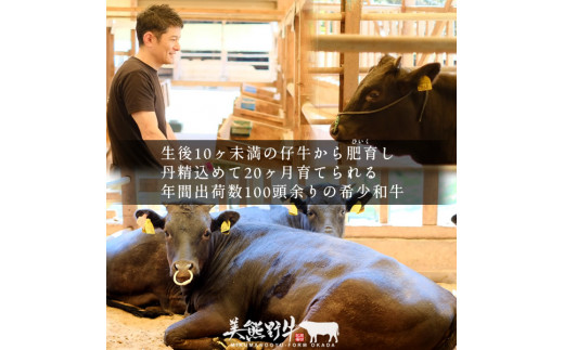 【美熊野牛】切り落とし 400g 黒毛和牛 希少 和牛