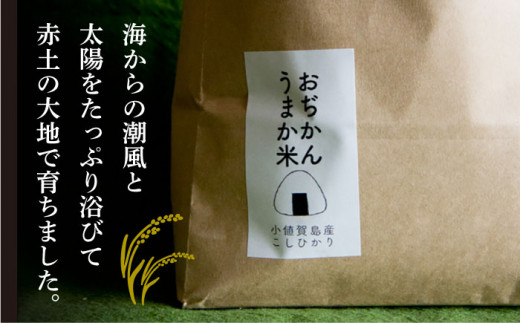 【全6回定期便】【令和6年度産】おぢかんうまか米（小値賀町産こしひかり 3kg ・精白米） [DAB012] コシヒカリ こしひかり お米 常温