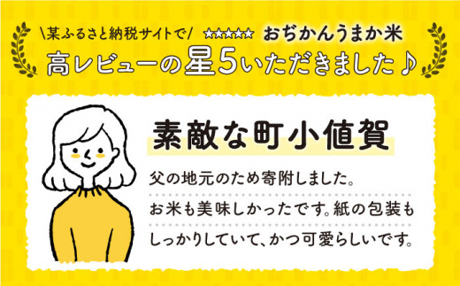 【全6回定期便】【令和6年度産】おぢかんうまか米（小値賀町産こしひかり 3kg ・精白米） [DAB012] コシヒカリ こしひかり お米 常温