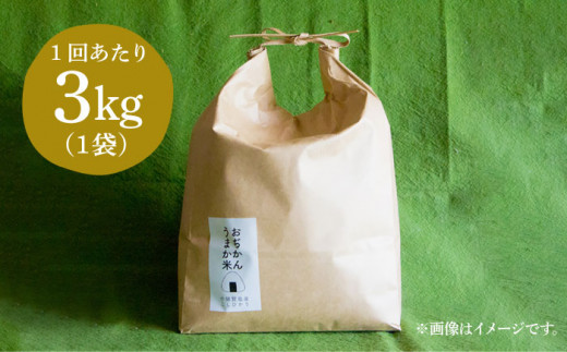 【全6回定期便】【令和6年度産】おぢかんうまか米（小値賀町産こしひかり 3kg ・精白米） [DAB012] コシヒカリ こしひかり お米 常温