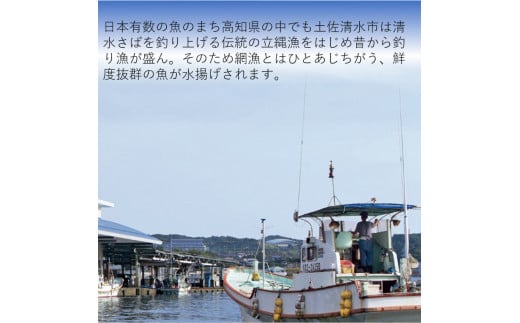 土佐清水産・一本釣り 鰹の漬け（100g×4袋）カツオ かつお 漬け丼 海鮮丼 鰹丼 魚介 どんぶり おかず 惣菜 おつまみ 新鮮 簡単 個包装 小分け のせるだけ お取り寄せ【R01203】