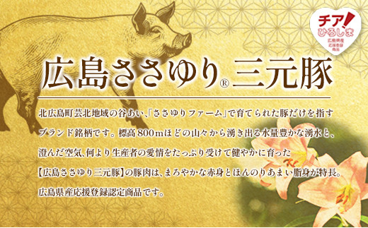 ≪12月下旬発送≫ 豚肉 三元豚 焼肉バラエティセット ささゆりファームの広島ささゆり(R)三元豚（合計920g）_FU100_003