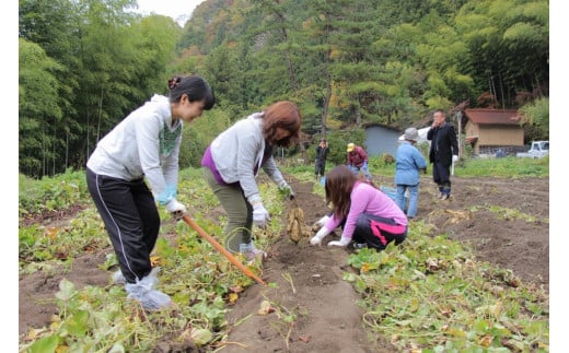 芋焼酎　大野瀬　温