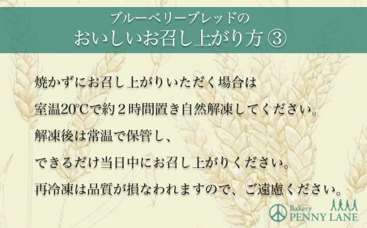 【12ヵ月定期便】ペニーレインのブルーベリーブレッド3本セット【 パン 菓子パン パン屋 茨城県 つくば市 ブルーベリー ブルーベリージャム ブルーベリーソース 冷凍パン お取り寄せ 人気 おすすめ おやつ 朝食 ベーカリー グルメ プレゼント レストラン ドッグラン 定期便 】