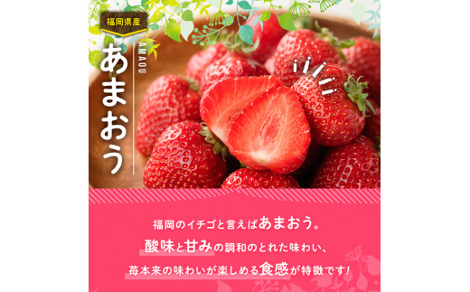 ＜先行予約受付中！2025年2月上旬から3月末にかけて順次発送予定＞あまおうDX(デラックス)・春(計約1kg・約250g×4P)いちご 苺 フルーツ 果物 くだもの 福岡限定 家庭用 冷蔵 ＜離島配送不可＞【ksg0473】【南国フルーツ】