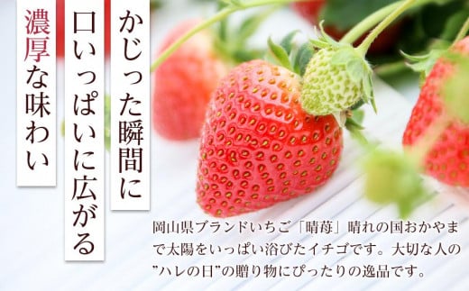 岡山市産「晴苺」12～15粒 450g×1パック 贈答用 化粧箱入り＜北海道・沖縄県・離島配送不可＞