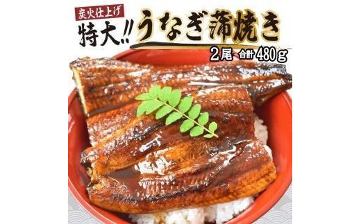 うなぎ蒲焼き2尾入り 480g（蒲焼たれ4袋 山椒付き）【年末発送：12月25日～29日発送】【KS6】