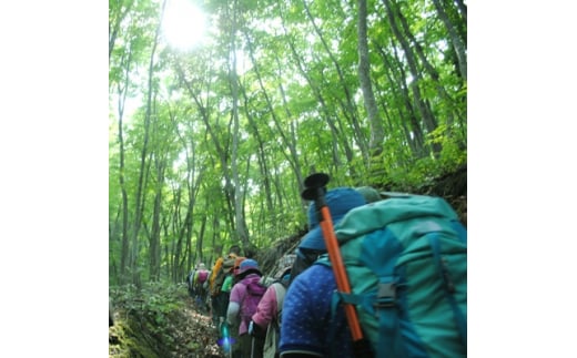 幻の県道あっぷるジュース6本入【1035069】