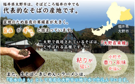 【先行予約】【年越しそば】越前大野産 石臼挽き 生そば 5食 ＋ きしめん 6食 つゆ付 越前そば 【12月28日・29日お届け】