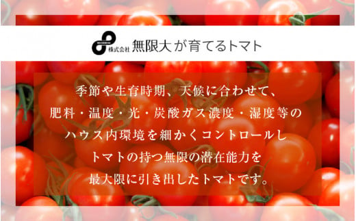 【ふるさと納税】【2025年1月より順次発送】じゅわっと極甘のフルーツミディトマト 約1kg (バラ箱詰め) 幸せ寄附額 ハッピーキャンペーン 開催中【とまと トマト フルーツトマト ミディトマト ミニトマト トマトジュース 野菜 やさい 人気 新鮮 産地直送 甘い 高糖度 食べやすい リコピン ビタミン ダイエット 美容 美肌 】 [m37-a012_01]