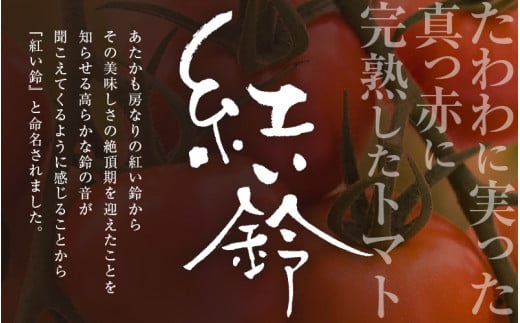 【ふるさと納税】【2025年1月より順次発送】じゅわっと極甘のフルーツミディトマト 約1kg (バラ箱詰め) 幸せ寄附額 ハッピーキャンペーン 開催中【とまと トマト フルーツトマト ミディトマト ミニトマト トマトジュース 野菜 やさい 人気 新鮮 産地直送 甘い 高糖度 食べやすい リコピン ビタミン ダイエット 美容 美肌 】 [m37-a012_01]