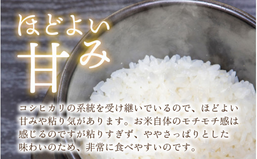 【3ヵ月定期便】【令和5年産】越前大野産 一等米 帰山農園の「てんたかく」2kg 合計6kg【玄米】