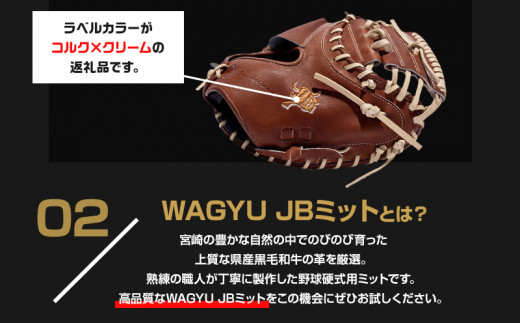 宮崎県産牛革使用 WAGYU JB 硬式用 ミット 捕手用 JB-002N(ブラウン/右投げ用)_M147-054