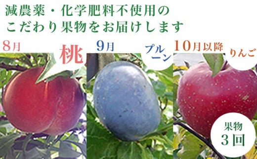 ［年8回定期便］ 農薬・化学肥料を使わずに栽培した野菜と減農薬栽培した果物 年8回定期便 OBUSE Meguru  野菜&フルーツセット シーズンコース［新規就農者応援コース 幸作会］おまかせ 野菜 やさい 詰め合わせ 9～12種類 果物 フルーツ 長野 信州 数量限定 産地直送 令和6年産 【2024年5月より順次発送】［KJ-1］