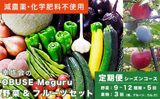 ［年8回定期便］ 農薬・化学肥料を使わずに栽培した野菜と減農薬栽培した果物 年8回定期便 OBUSE Meguru  野菜&フルーツセット シーズンコース［新規就農者応援コース 幸作会］おまかせ 野菜 やさい 詰め合わせ 9～12種類 果物 フルーツ 長野 信州 数量限定 産地直送 令和6年産 【2024年5月より順次発送】［KJ-1］