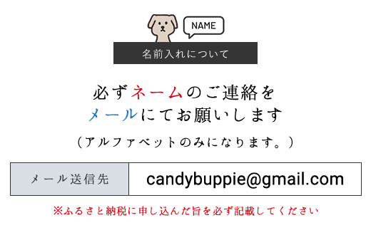 リボンリボンネームワンピースオーダー ニット生地（黒チュールXXS）  ふるさと納税 リボンリボン シュシュ ふわふわ かわいい パフスリーブ チュール レース ネーム オーダーネーム ワンピース ニット チェック ギンガムチェック ブロックチェック 切り返し 白 刺繍 綿 コットン 犬 わんちゃん 犬服 ドッグウェア ペット ワンちゃん 名入れ 伸縮 小型犬用 京都府 福知山市 京都 福知山