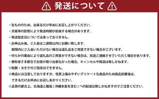 完熟あまおう 贈答用4パック