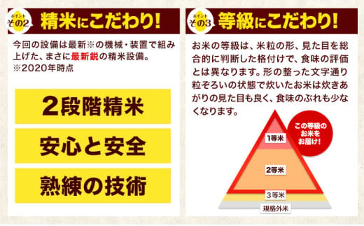 令和6年産新米 【12ヵ月定期便】 無洗米 ひのひかり 定期便 20kg 5kg×4袋《お申込み翌月から出荷開始》 熊本県産 精米 ひの 米 こめ ヒノヒカリ コメ お米