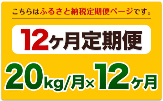 令和6年産新米 【12ヵ月定期便】 無洗米 ひのひかり 定期便 20kg 5kg×4袋《お申込み翌月から出荷開始》 熊本県産 精米 ひの 米 こめ ヒノヒカリ コメ お米