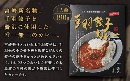 〈みやざき餃子新名物 手羽餃子カレー 20箱〉