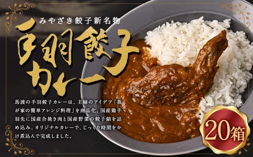 〈みやざき餃子新名物 手羽餃子カレー 20箱〉