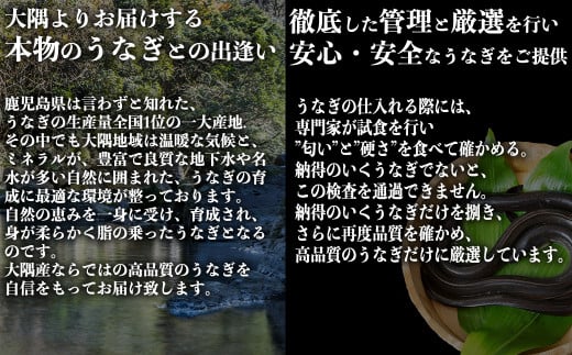 特上うなぎ 約600g (約200g×3尾) タレ付き うなぎ 蒲焼 熊本県 水上村