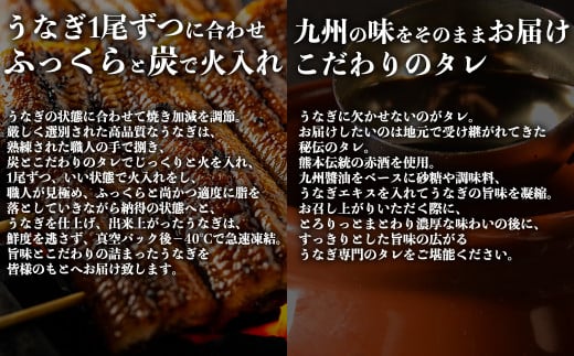 特上うなぎ 約600g (約200g×3尾) タレ付き うなぎ 蒲焼 熊本県 水上村