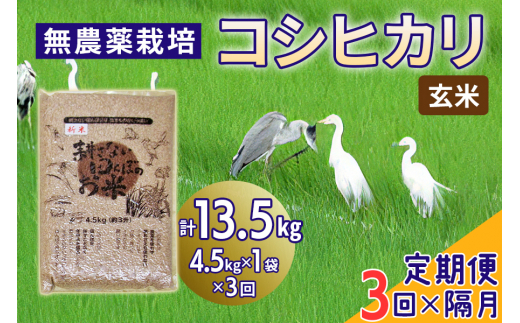 新米 [定期便／隔月3ヶ月] 無農薬栽培 コシヒカリ《玄米》計13.5kg (4.5kg×3ヶ月)｜おいしい お米 コメ こめ ご飯 ごはん 白米 玄米 お取り寄せ 直送 贈り物 贈答品 ふるさと納税 埼玉 杉戸 [0572]