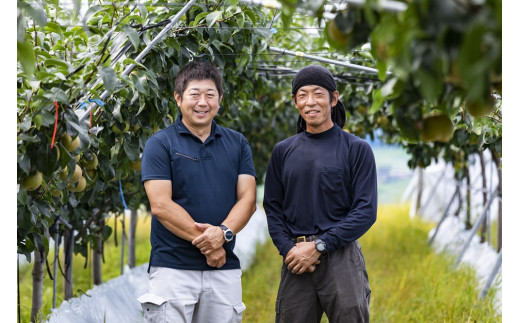 大垣の銘水で育った甘味たっぷりの梨（幸水）3kg前後（Ⅼ～2Ⅼサイズ・9～10個）【８月上旬発送予定】