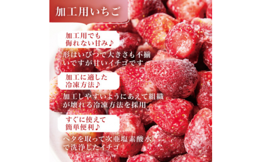 宮城県産 完熟冷凍いちご 2kg(1kg×2袋)＜加工用・ご家庭用＞ヘタ無しで便利♪通年出荷【1497570】