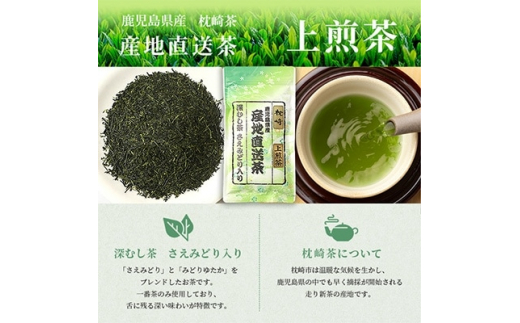 一番茶のみ使用!!＜ 上煎茶 ＞  ( 100g×3本 ) 枕崎産 大河内製茶 A3-217【1167082】