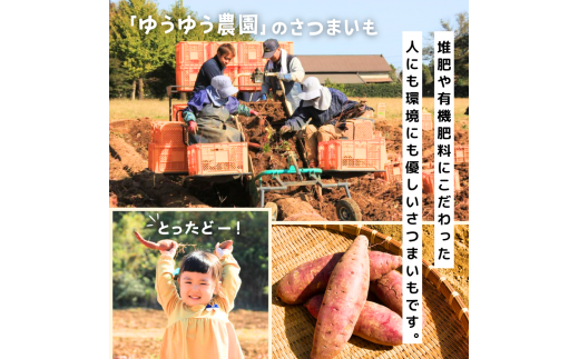 【訳あり】紅はるかの丸干し芋(規格外)600g | 茨城県 龍ケ崎 プレゼント 国産 無添加 茨城県産 さつまいも サツマイモ 芋 おやつ お菓子 和菓子 スイーツ 無添加 ほし芋 自然食品 訳あり シロタ 平干し 大容量 ポテト 丸干し 丸 まる干し まるぼし