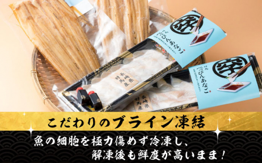 【全12回定期便】 対馬産 べっぴん あなご 詰め合わせ 《 対馬市 》【 桐谷商店 】 対馬 新鮮 穴子 刺身 海産物 魚介 [WAQ006]