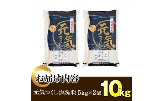 ＜令和6年産＞福岡県産ブランド米「元気つくし」無洗米(計10kg・5kg×2袋)お米 10キロ ごはん ご飯【ksg0379】【朝ごはん本舗】