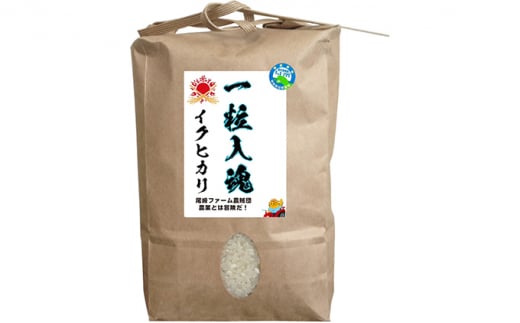 令和6年産 栽培期間中減農薬 イクヒカリ 10kg　白米[№5580-7066]0793