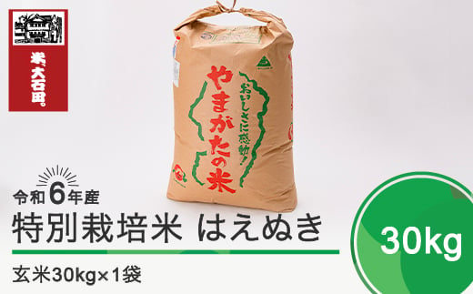 新米 令和7年3月下旬発送 はえぬき30㎏ 玄米 令和6年産 ja-hagxb30-3s