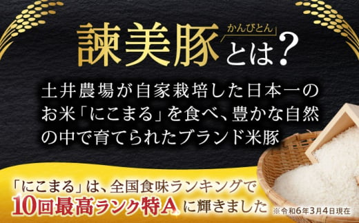 諫美豚 ヒレ肉 （カツのみ）600g / 豚肉 肉 ヒレ とんかつ トンカツ / 諫早市 / 株式会社土井農場 [AHAD080]