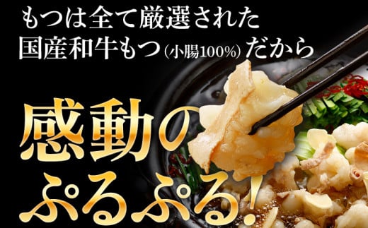 和牛もつ鍋 醤油味 5人前（5人前×1セット）【賞味期限最短：2025年1月25日】 