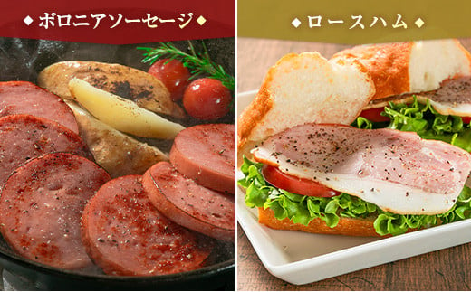 【PREMIUM PORK】 尾鈴豚 ハム ソーセージ 詰め合わせ 合計830g 5種 Aセット 宮崎県産