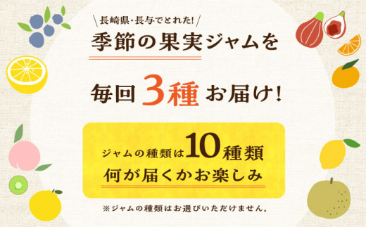 【12回定期便】季節の果実ジャム 3個（各120g） 長与町/アグリューム [EAI091] 瓶 セット ジャム