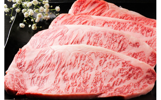 BL016　最高級牛肉「佐賀牛」サーロインステーキ200g×3枚【冷蔵でお届け】