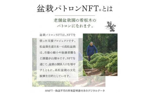 盆栽パトロンNFT 特別ランク