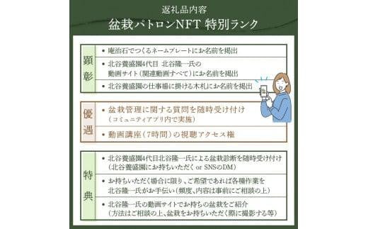 盆栽パトロンNFT 特別ランク