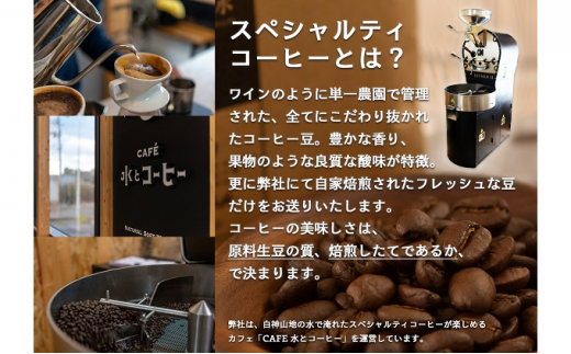 コーヒー 白神山地の水とコーヒー 2種 ギフト セット 水出しコーヒー ドリップコーヒー オリジナルブレンド ミネラルウォーター 詰め合わせ ドリップ スペシャルティコーヒー ブレンドコーヒー 水出し 自家焙煎 水 希少 プレゼント 贈答 贈答品