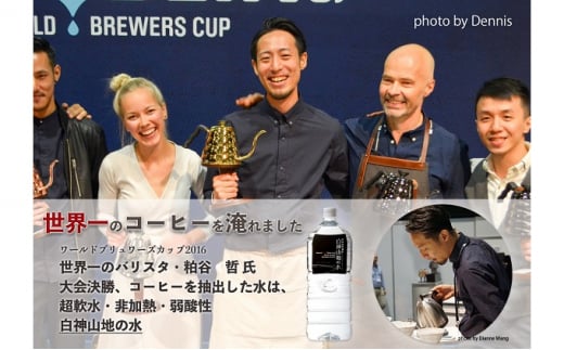 コーヒー 白神山地の水とコーヒー 2種 ギフト セット 水出しコーヒー ドリップコーヒー オリジナルブレンド ミネラルウォーター 詰め合わせ ドリップ スペシャルティコーヒー ブレンドコーヒー 水出し 自家焙煎 水 希少 プレゼント 贈答 贈答品